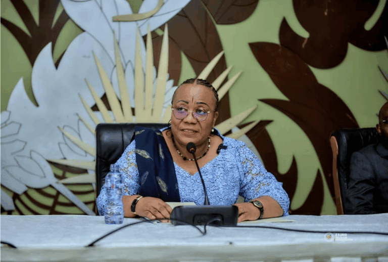 DR Congo Launches Digital Portal to Modernise Higher Education and Tesearch System