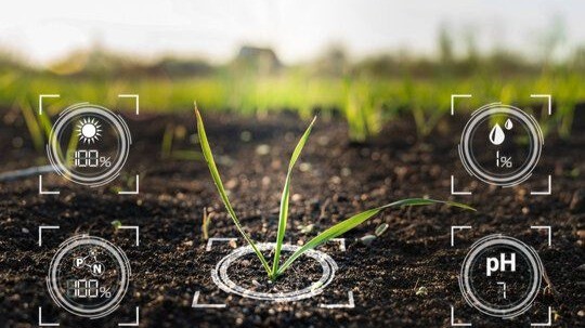 FAO & Smart Africa Launch $50K AI Agriculture Challenge